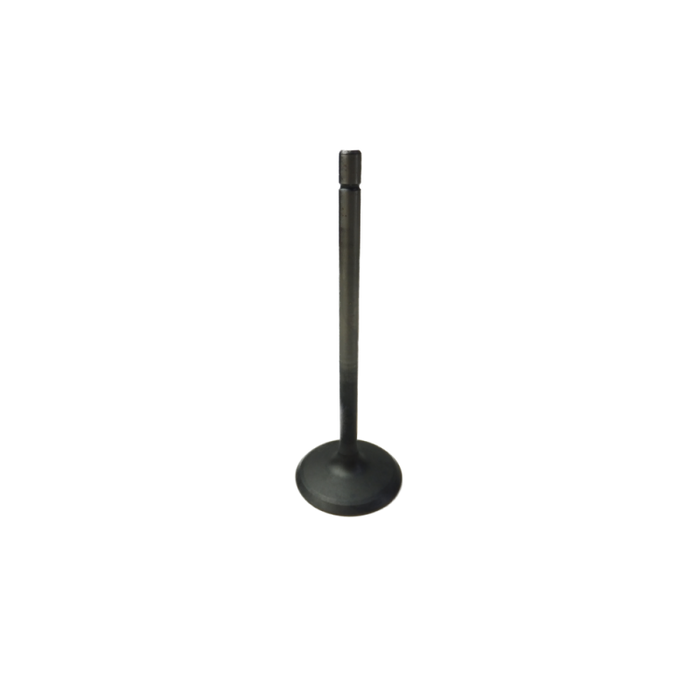 GM V6 Alloytec Intake Valve (LLT,LY7)
