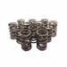 Race Dual Valve Springs - 6cyl