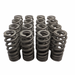 PAC Ford 7.3ltr Godzilla Drop In Valve Springs