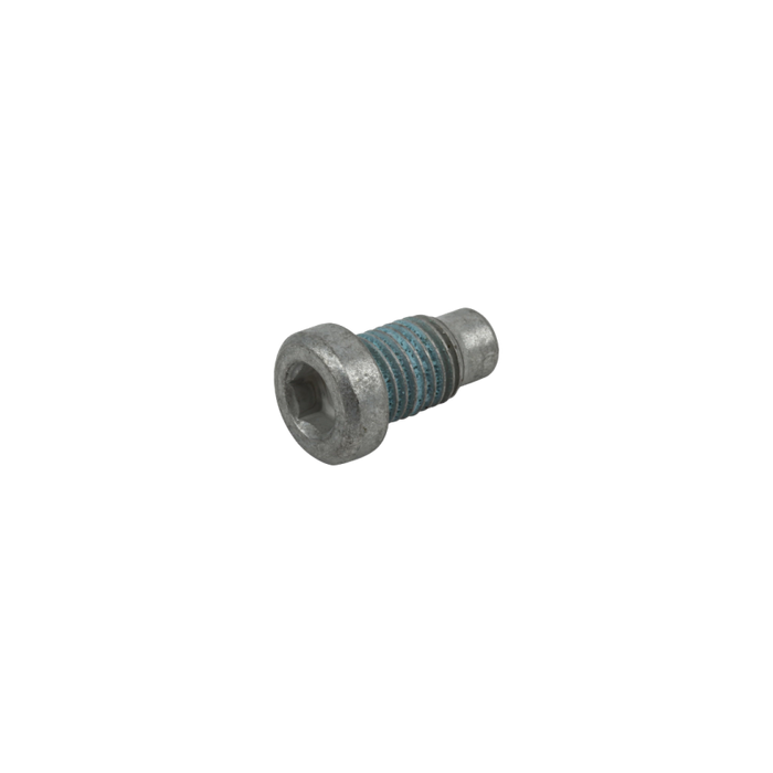 LS Cylinder Head Coolant Plug