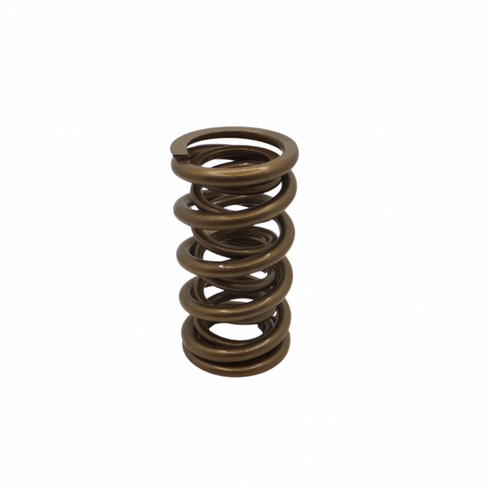 Dual Valve Spring for Ecotec and LS - Single