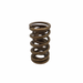 Dual Valve Spring for Ecotec and LS - Single