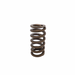 Ford 315kw XR8 Heavy Duty Beehive Spring - Single
