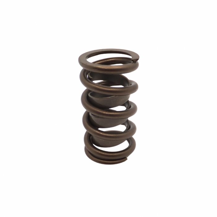 Single Spring With Damper for Holden 6 - Single