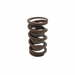 Single Spring With Damper for Holden 6 - Single