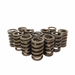 LT1 Equivalent Spring - Set of 12