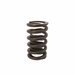 Single Springs with Damper for Holden V8 - Single