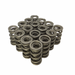 PAC Racing RPM Series Dual Springs - for LS