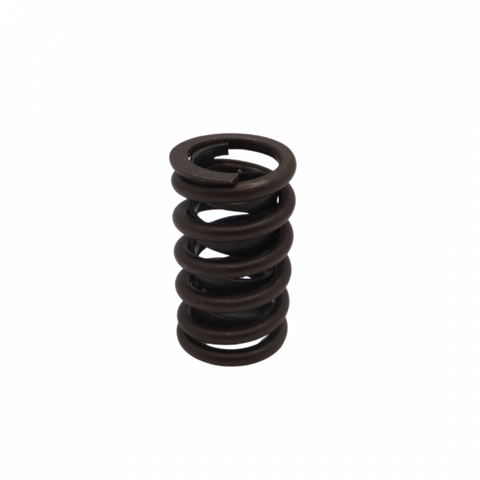 Standard Replacement GM Springs - Single