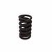 Standard Replacement GM Springs - Single