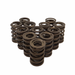 Dual Valve Spring - Single