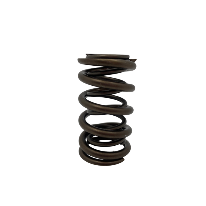 Dual valve springs for Holden - single