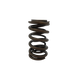 Dual valve springs for Holden - single