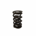 Dual Springs for Small Block Chev, Chrysler & Ford - Single