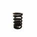 Single Valve Spring for Ford - Single