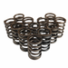 Standard replacement single valve spring - Set of 12