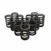 Performance Single Valve Springs - Set of 12