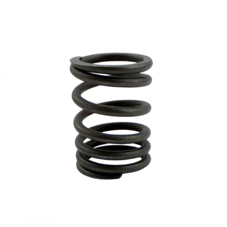 Pre-Crossflow Single Valve Springs - Single — LongBoost Performance Parts