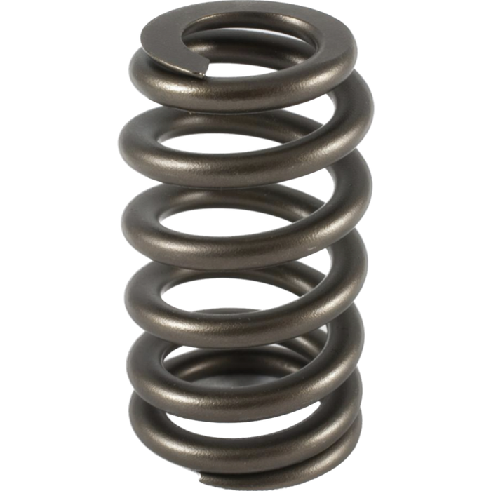 Holden V6 Ecotec Single Valve Springs - Single