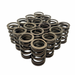 Single Valve Spring with Damper - Set of 16