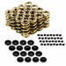 11/32" Valve Dual Spring Kit with + .050" Height Lock
