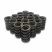 Dual valve spring for Big Block Chev