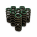 Ford 7.3ltr Godzilla Exhaust Springs - Set of 8