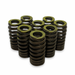 Ford 7.3ltr Godzilla Intake Springs