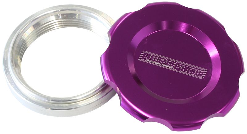 2-1/2 WELD BUNG AND PURPLE CAP - AF465-40PUR