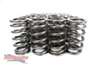 Atomic Barra Valve Springs Stage 1-5 | Matched Sets