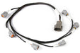 Ford Barra 4.0 FG Series Ignition Harness