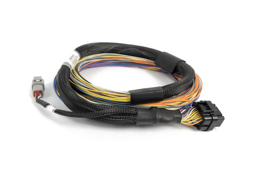 Haltech Nexus T1 T2 Basic Universal Wire-in Harness HT-181200 image 1