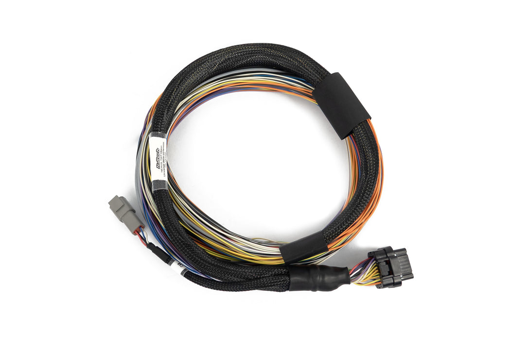 Haltech Nexus T1 T2 Basic Universal Wire-in Harness HT-181200 image 2
