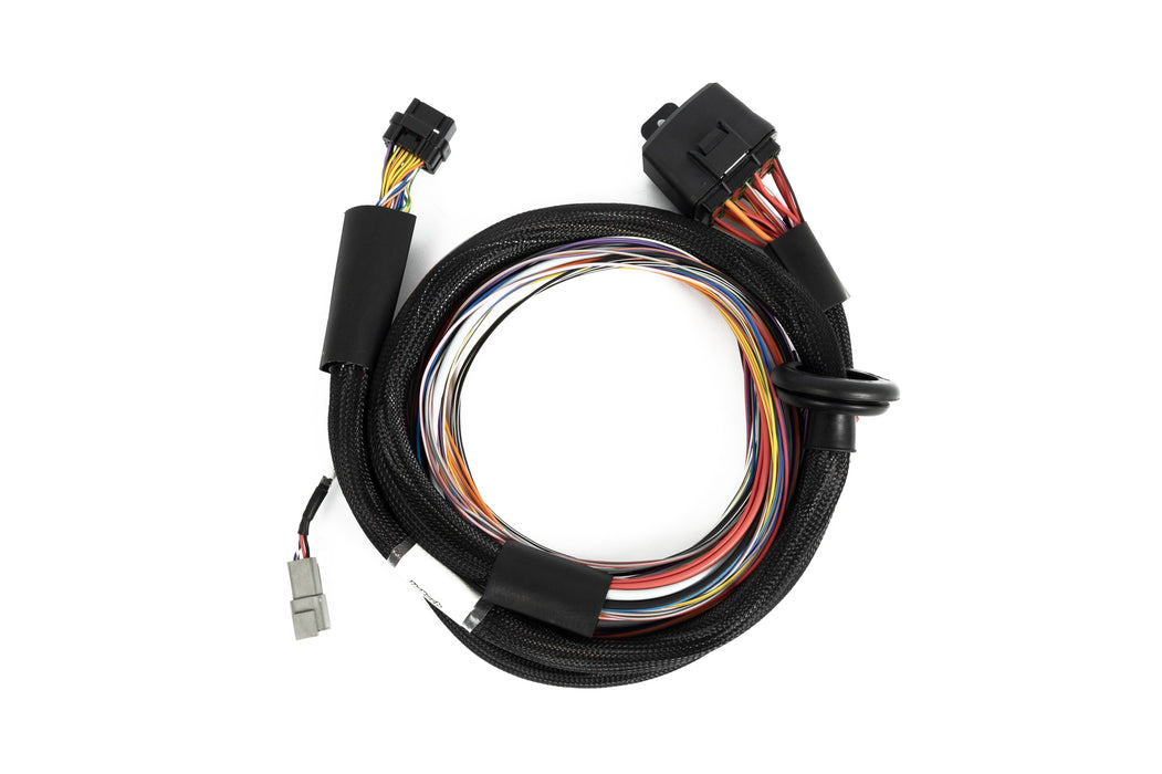 Haltech Nexus T1 T2 Premium Universal Wire-in Harness HT-181201 image 1