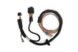 Haltech Nexus T1 T2 Premium Universal Wire-in Harness HT-181201 image 2