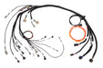Haltech Nexus R3 Nissan RB 25 26 30 Terminated Harness HT-186401 image 1