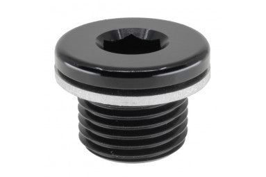 M10X1.0 In Hex Plug With Washer