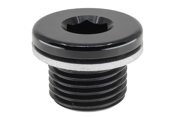 M14X1.5 In Hex Plug With Washer
