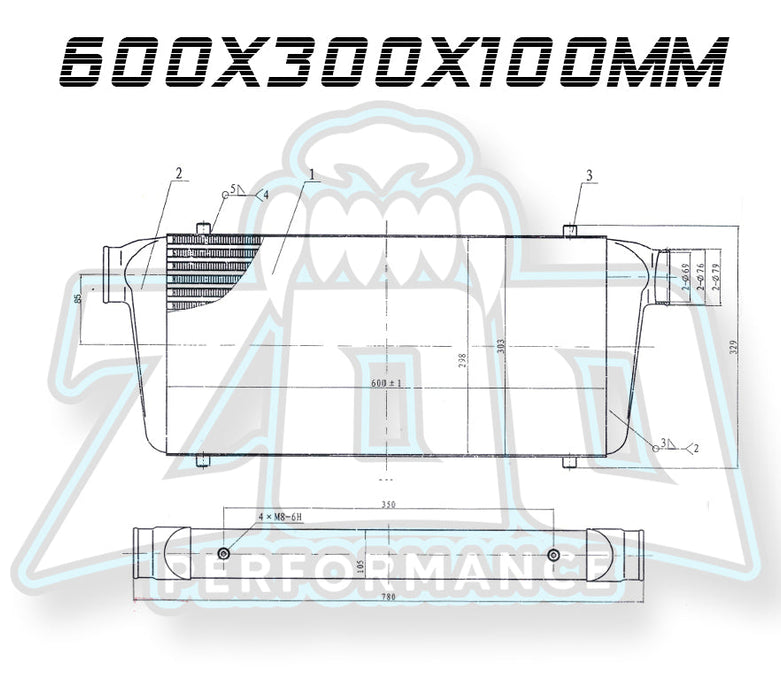 Zoo Performance - Race Series 100mm Intercoolers