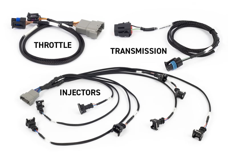 Haltech NEXUS Rebel LS & Terminated Harness- Suits Gen IV DBW