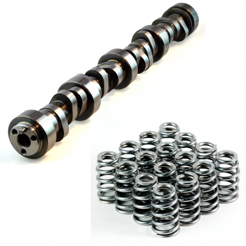 LS Cam 232/237 .609/.602 112 & 1511ML Spring Kit