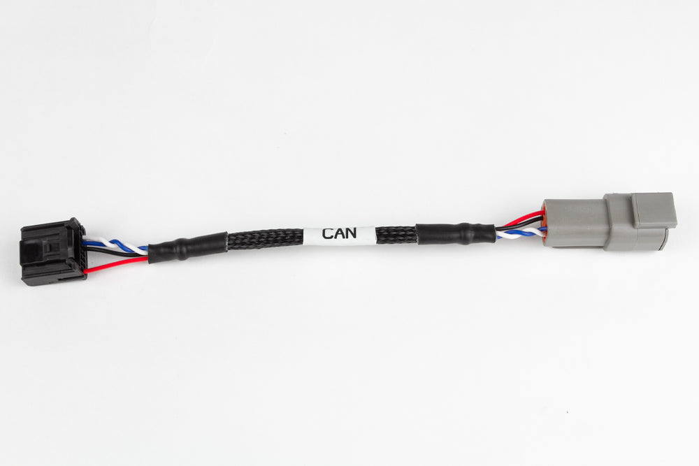 Haltech - Haltech Elite CAN Cable - DTM4 Receptacle to 16 pin Black Tyco HT-130051