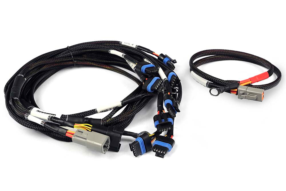 Haltech - Nexus V8 IGN-1A Ford Harness HT-186061