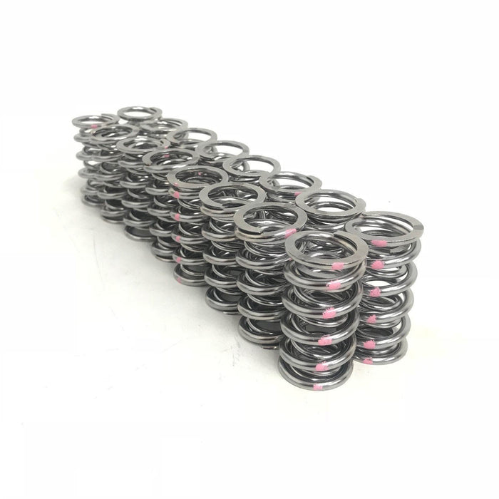 K-Motion - LS, K-MOTION, DUAL VALVE SPRING KIT