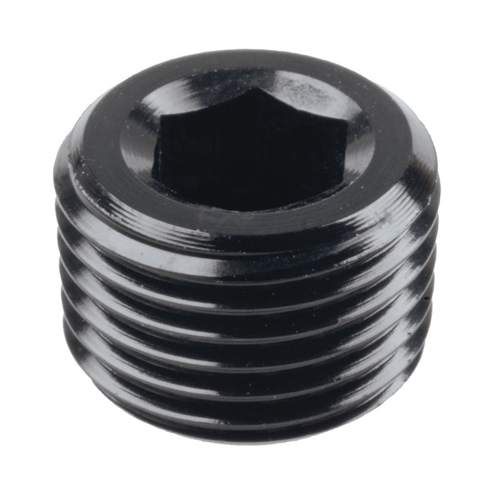 Npt Plug 1/8In