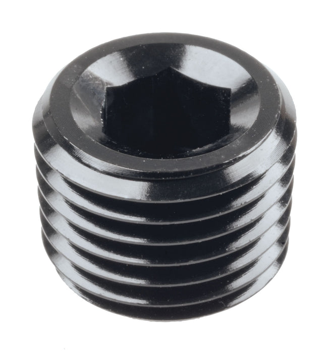 Npt Plug 1/4In