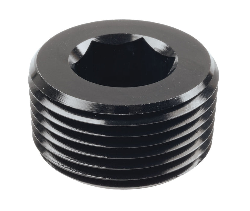 Npt Plug 1In