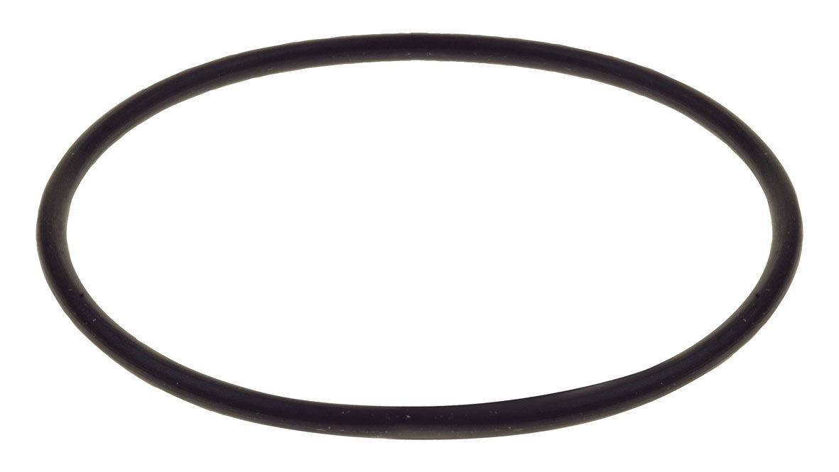 Replacement O-Ring For Raceworks Fuel Filters